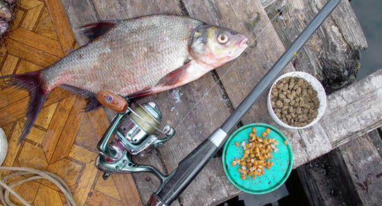 Общие правила работы с прикормками и добавками или как прикармливать рыбу?