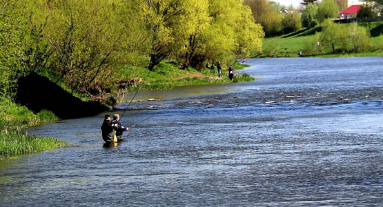 Рыбалка на донку с берега на реке | Полезная информация для начинающих рыболовов