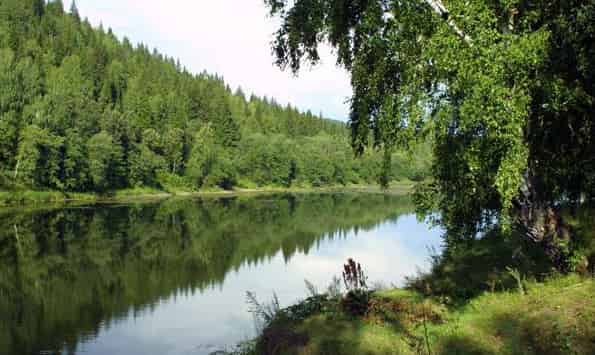 РЫБАЛКА НА РЕКЕ